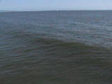 Movie of a Pacific Ocean wave at Venice Beach